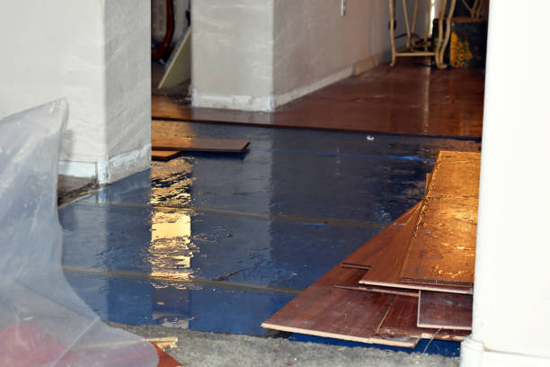 Professional Emergency Water Damage Restoration technician working in New London, TX