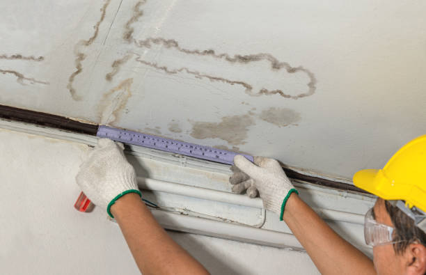 Reliable Emergency Water Damage Restoration contractor in New London, TX by Water Damage Irwin